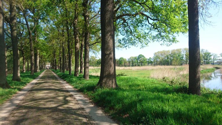 Anne Heesakkers Holistische psychologie