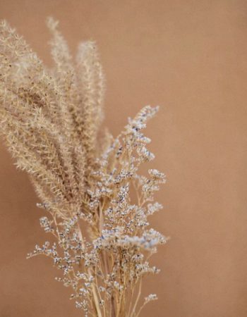 fleurs-sechees