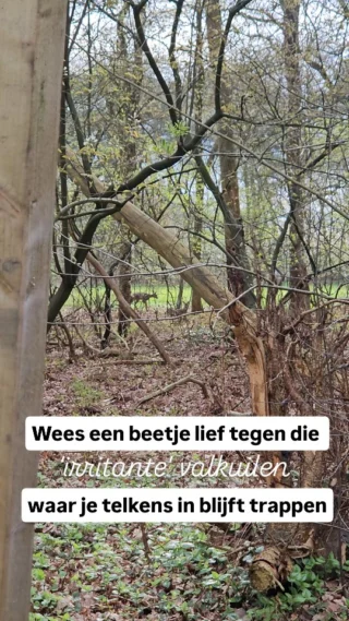 Instagram post from anne.roots. This post is in position 3.