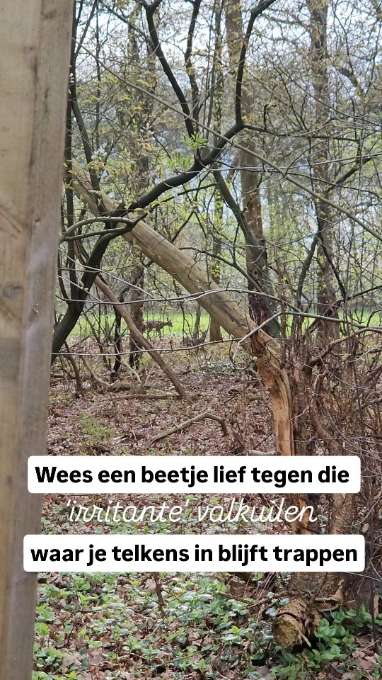 Instagram post from anne.roots. This post is in position 2.